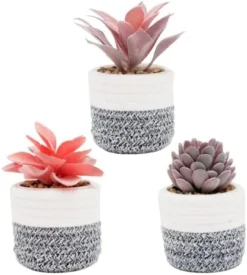 VIVERIE Rose Pink Faux Succulents In White Ceramic Pot Set Of 4 - Plant Gifts, Cute Aesthetic Pink Room, Home Decor Accents, Centerpieces, Bathroom Decor, Mum Gifts, Cactus Decor, Succulents Wedding -Nearly Natural Store 41NmuAreYNL. AC