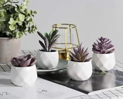 Tiita Artificial Faux Succulents In Pots Fake Plants Ceramic Arrangement Planter Small Mini Tiny Decoration For Home Office Desk Window Sill Bathroom Bedroom Outdoor Indoor 4 Set -Nearly Natural Store 41PygYH7qAL