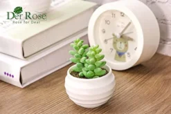 Der Rose 6 Packs Fake Succulents Plants Small Realistic Succulents Plants Artificial For Home Room Decor Indoor -Nearly Natural Store 41Q9ZOO8vYL
