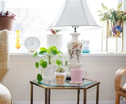 Silver Buffalo The Golden Girls Sophia Face Mini Ceramic Planter Decor | Official TV Show Collectible | Small Flower Pot For Indoor Plants, Includes Artificial Succulent | 3 Inches -Nearly Natural Store 41Qh7U2r5kS