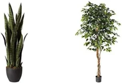 Nearly Natural, Green 4855 35in. Sansevieria With Black Planter & 6ft. Ficus Artificial Trees, 72in, Green -Nearly Natural Store 41Sy5isVhL. AC 1