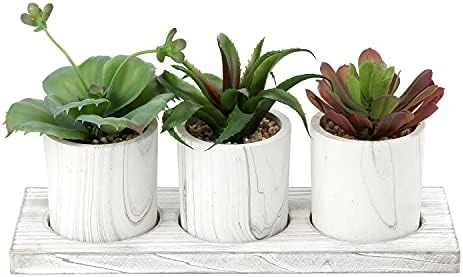 Briful Succulents Plants Artificial In Marble Pot Set Of 3 Small Fake Succulents Plants Faux Succulents With Wood Tray For Table Shelf Office Home Decorations 6 Briful Succulents Plants Artificial In Marble Pot Set Of 3 Small Fake Succulents Plants Faux Succulents With Wood Tray For Table Shelf Office Home Decorations - Image 6