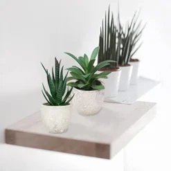 Memeaty Set Of 5 Small Fake Plants Artificial Rosemary Peppermint Plants Fake Succulents Plants In Pot For Home Office Decoration,Artficial Greenery Faux Plants Indoor For Table Shelf Decor -Nearly Natural Store 41TXidBwAEL
