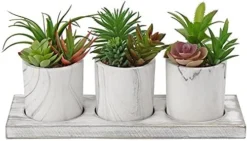 Briful Succulents Plants Artificial In Marble Pot Set Of 3 Small Fake Succulents Plants Faux Succulents With Wood Tray For Table Shelf Office Home Decorations 15 Briful Succulents Plants Artificial In Marble Pot Set Of 3 Small Fake Succulents Plants Faux Succulents With Wood Tray For Table Shelf Office Home Decorations -Nearly Natural Store 41Ujiq6kt2S. AC