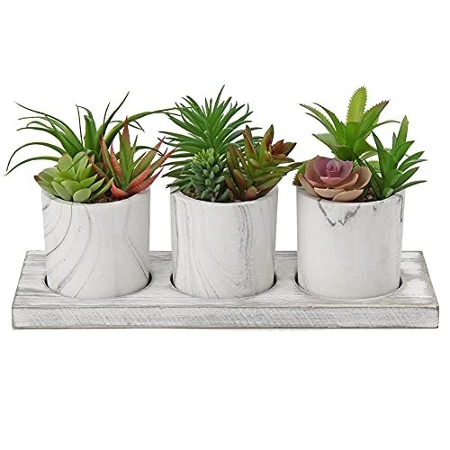Briful Succulents Plants Artificial In Marble Pot Set Of 3 Small Fake Succulents Plants Faux Succulents With Wood Tray For Table Shelf Office Home Decorations 1 Briful Succulents Plants Artificial In Marble Pot Set Of 3 Small Fake Succulents Plants Faux Succulents With Wood Tray For Table Shelf Office Home Decorations