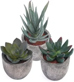 Iuuidu Artificial Potted Plant, Faux Succulent In Pot Emotional Cement Potted Plant Animated Artificial Succulents Decor For Home Living Room Bedroom And Office(Shy) 22 Iuuidu Artificial Potted Plant, Faux Succulent In Pot Emotional Cement Potted Plant Animated Artificial Succulents Decor For Home Living Room Bedroom And Office(Shy) -Nearly Natural Store 41Vwt5ZL2EL. AC