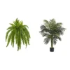 Nearly Natural 35” Boston Fern Artificial (Set Of 2) Silk Plants Green & 5357 4ft. Golden Cane Palm Tree,Green