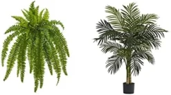 Nearly Natural 35” Boston Fern Artificial (Set Of 2) Silk Plants Green & 5357 4ft. Golden Cane Palm Tree,Green -Nearly Natural Store 41XPhjOKpeL. AC 1