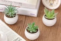 Der Rose 6 Packs Fake Succulents Plants Small Realistic Succulents Plants Artificial For Home Room Decor Indoor -Nearly Natural Store 41Y1imdmpqL