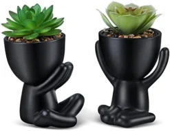 WOODWORD Fake Succulent, Mini Succulents Plants Artificial In Black Modern Human Shaped Ceramic Pots Cute Desk Decor For Office Decor For Women, Bathroom 2PCS -Nearly Natural Store 41ZYxcblHL. AC