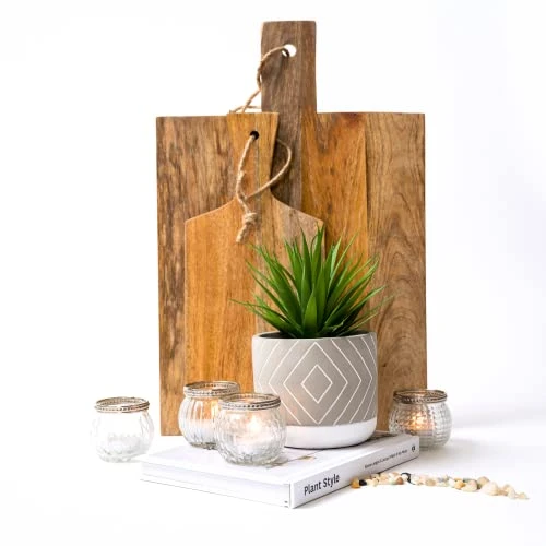 Kurrajong Farmhouse 8" X 4.5" Beautiful Fake Plant | Artificial Potted Plant Decor | Faux Plant | Artificial Succulent Plants Potted For Home Decor Indoor | Fake Potted Plant | Fake Succulents 4 Kurrajong Farmhouse 8" X 4.5" Beautiful Fake Plant | Artificial Potted Plant Decor | Faux Plant | Artificial Succulent Plants Potted For Home Decor Indoor | Fake Potted Plant | Fake Succulents - Image 4