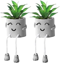 SEMSOIIO 2 Pcs Fake Plants In Cement Pot With Hanging Legs, Creative Artificial Faux Succulent For Home/Office Decor (Tongue & Smoking) -Nearly Natural Store 41e4olvnzIL. AC