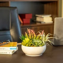 10 In 1- Fake Plants In Pot -Artificial Succulents Plant For Desk Decor -Small Faux Plants Indoor Modern Farmhouse Plants Artificial Decor -Potted Small Plants Decor For Bedroom Bathroom Office Shelf -Nearly Natural Store 41eDd3kdK9L