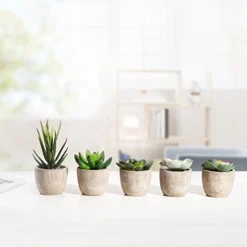 Jelofly Fake Plants Artificial Succulent Plants Assorted Decorative Faux Succulent Potted Fake Cactus Cacti Plants Gray Pots, Set Of 5 -Nearly Natural Store 41eZKUJozoL