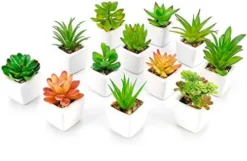 Faux Succulents In Pots Fake Succulents Small Artificial Succulents Potted For Home Office Desk Farmhouse Greenery Decor, 12 Pack -Nearly Natural Store 41fUTlHIw6L. AC