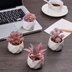 VIVERIE Rose Pink Faux Succulents In White Ceramic Pot Set Of 4 - Plant Gifts, Cute Aesthetic Pink Room, Home Decor Accents, Centerpieces, Bathroom Decor, Mum Gifts, Cactus Decor, Succulents Wedding -Nearly Natural Store 41fZ68TNYcL