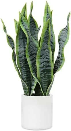 Briful 14'' Fake Snake Plant Home Decor Real Touch Faux Sansevieria Plant In White Ceramic Pot With Wooden Stand Artificial Snake Plant With Wide Leaves For Kitchen Living Room Bathroom Decorations -Nearly Natural Store 41gxW4f5qZL. AC