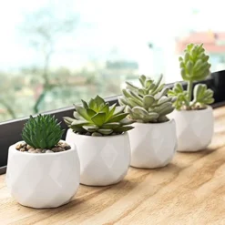 MyGift Set Of 4 Mini Assorted Artificial Succulent Fake Plants In Modern White Textured Ceramic Plant Pots -Nearly Natural Store 41h6mlF5eBS