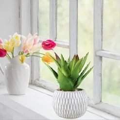 Set Of 3 Small Potted Succulents Plants Artificial Aloe Hops Succulents In Gray Concrete Ceramic Planter Geometry Pattern For Party Favor Gift Windowsill Tabletop Shelf Indoor Outdoor Greenery Decor -Nearly Natural Store 41h9PygMD1L