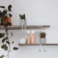SEMSOIIO 2 Pcs Fake Plants In Cement Pot With Hanging Legs, Creative Artificial Faux Succulent For Home/Office Decor (Tongue & Smoking) -Nearly Natural Store 41hdOhG0rTL