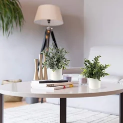 Briful Mini Fake Plants Set Of 2 Small Faux Plant Eucalyptus Rosemary Greenery Potted Plants Artificial Decor For Home Table Office Room Desk Bathroom Shelf Kitchen Farmhouse Mantel Decoration 14 Briful Mini Fake Plants Set Of 2 Small Faux Plant Eucalyptus Rosemary Greenery Potted Plants Artificial Decor For Home Table Office Room Desk Bathroom Shelf Kitchen Farmhouse Mantel Decoration -Nearly Natural Store 41hf0tnOpnL