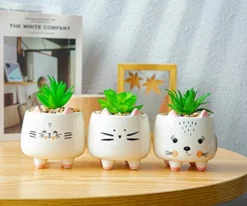 B SEPOR 3 Little Kitty Cats Small Artificial Succulents Potted With White Porcelain Pots Ceramic Animal Planter Gift Set For Home And Office Decor -Nearly Natural Store 41hgzH99blL