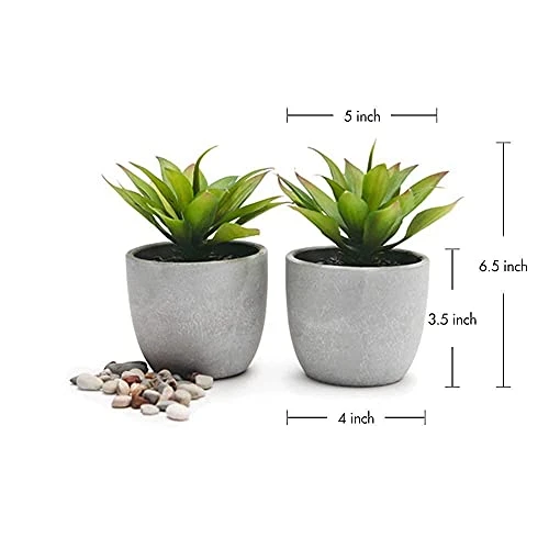 Kurrajong Farmhouse Fake Plants | Fake Succulents Set Of Two | Succulent Plants Artificial | Artificial Succulents | Fake Agave Artificial Plants 2 Kurrajong Farmhouse Fake Plants | Fake Succulents Set Of Two | Succulent Plants Artificial | Artificial Succulents | Fake Agave Artificial Plants - Image 2