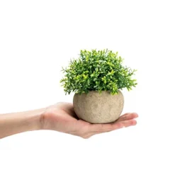 Velener 2Pcs Mini Artificial Boxwood Topiary Faux Plants Indoor- Small Fake Plants Decor Magnolia Home Office Desk Cubicle Farmhouse Kitchen Bookshelf Bedroom Bathroom Decor, Aloe Vera Zen Garden -Nearly Natural Store 41hsNiRCsVL