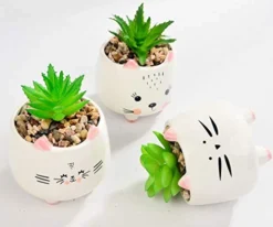 B SEPOR 3 Little Kitty Cats Small Artificial Succulents Potted With White Porcelain Pots Ceramic Animal Planter Gift Set For Home And Office Decor -Nearly Natural Store 41hvZbkC9fL
