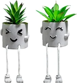 Lavenor Artificial Potted Plant Fake Succulent Plant Cute Hanging Leg Emotional Cement Potted Succulents Decor For Desk Shelf Bedroom Living Room And Office Decoration(Type A + Type C) -Nearly Natural Store 41ibWgab1oL. AC