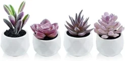 Tiita Artificial Faux Succulents In Pots Fake Plants Ceramic Arrangement Planter Small Mini Tiny Decoration For Home Office Desk Window Sill Bathroom Bedroom Outdoor Indoor 4 Set -Nearly Natural Store 41iciSz7I6L. AC