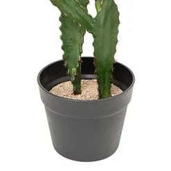 Simple Elements Faux Desert Candle Cactus With Plastic Pot | Artificial Cactus Plant | Home Décor, Event Décor, Outdoor Décor, Party Décor And Wedding Décor | 23" H X 5.5" W (Pot) -Nearly Natural Store 41it7F7QttL