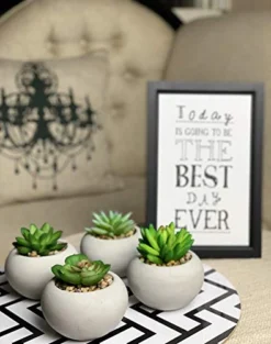 Artificial Succulent Plants In Cement Pots, Set Of 4 - Realistic Faux Potted Plant For Home, Apartment, Or Office - Decorative Fake Succulents - For Desk, Bookshelf, Or Kitchen -Nearly Natural Store 41jGY7zfQML