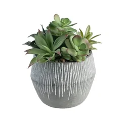 FAVRD Artificial Succulents In Cement Pot Environmentally Conscious Partly Recycled Fake Plants Artificial Plants Indoor Home Office Decor Desk Faux Plants, 8.5 X 8.5 X 8.75 Inches, Green, (10181-A)
