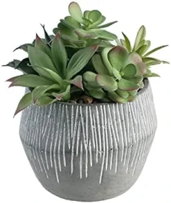 FAVRD Artificial Succulents In Cement Pot Environmentally Conscious Partly Recycled Fake Plants Artificial Plants Indoor Home Office Decor Desk Faux Plants, 8.5 X 8.5 X 8.75 Inches, Green, (10181-A) -Nearly Natural Store 41jzBIJZZ9S. AC