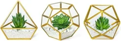 Mkono Artificial Succulent In 3 Pack Mini Glass Geometric Terrarium, Miniature Potted Faux Plant Bookshelf Desk Boho Office Room Decor For Women Girls Dorm Gift Idea, Gold -Nearly Natural Store 41kBN5ecliL. AC