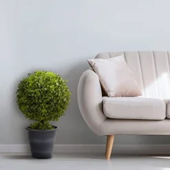 Nearly Natural 4560 23" Boxwood Ball Topiary -Nearly Natural Store 41m8LLkHPWL