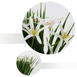 Briful Small Artificial Grass Plant Decor Wheat Fake Plant With Flowers In Ceramic Pot Real Touch Potted Greenery Faux Plant For Kitchen Countertop Tabletop Bookshelf Coffee Decorations -Nearly Natural Store 41mQ9s6q1bL