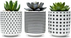 Dipiti Artificial Succulent Plants In Pots-Set Of 3|Black And White Ceramic Planters|Faux Plants Indoor & Outdoor|Gifts For Women|Kitchen Office Bathroom Desk Bedroom Shelf Decor|Potted Fake Plants -Nearly Natural Store 41mcbwUG3pS. AC