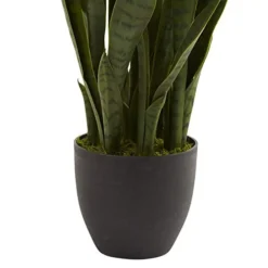 Nearly Natural, Green 4855 35in. Sansevieria With Black Planter -Nearly Natural Store 41mmoxsJseL