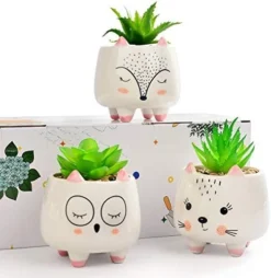 B SEPOR 3 Little Kitty Cats Small Artificial Succulents Potted With White Porcelain Pots Ceramic Animal Planter Gift Set For Home And Office Decor -Nearly Natural Store 41n7xqewAUL. AC