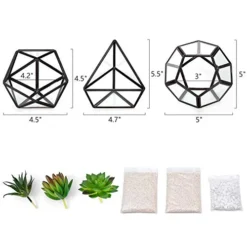 Mkono Artificial Succulent In 3 Pack Mini Glass Geometric Terrarium, Miniature Potted Faux Plant Bookshelf Desk Boho Office Room Decor For Women Girls Dorm Gift Idea, Black -Nearly Natural Store 41nWBpgLtTL