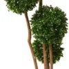 Nearly Natural 5486 Boxwood Topiary Artificial Tree UV Resistant, Green