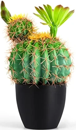 Sunprairie 14” & 30” Tall Rustic Artificial Cactus In Bloom With Soft Spines —Plant Decor Including Attractively Matching Matte Black Pot—Gorgeous Artificial Succulent Plants.