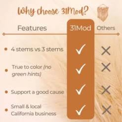 31Mod Faux Pampas Grass With 4 Large Artificial Pampas Grass Stems — 43" (Set Of 4), No-Shedding And Low Maintenance Pampas Grass Decor, Fake Pampas Grass, Pampas Grass Large, Boho Decor (43") -Nearly Natural Store 41oCPCDhkNL