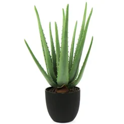 Beebel Artificial Succulent Fake Aloe For Bathroom Home Office Decor,Faux Succulent Plant With Black Plastic Planter,Artificial Potted Plant For House Decor (Aloe Succulent/13 Leaf)