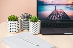 Dipiti Artificial Succulent Plants In Pots-Set Of 3|Black And White Ceramic Planters|Faux Plants Indoor & Outdoor|Gifts For Women|Kitchen Office Bathroom Desk Bedroom Shelf Decor|Potted Fake Plants -Nearly Natural Store 41oat2jXkwS