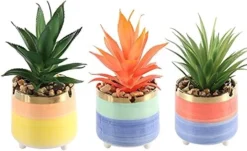 Letinaner Artificial Succulent Plants Faux Pineapple In Pots Artificial Plants Greenery Decorations For Hotel Restaurant Home Office Kitchen Table, Set Of 3 -Nearly Natural Store 41pNIh2kvSL. AC