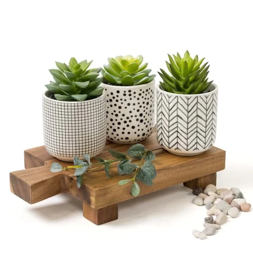 Kurrajong Farmhouse Artificial Succulents In Pots | Set Of 3 Black And White Ceramic Pots With Green Succulents Artificial | Faux Plants Indoor Fake Plants In Pots 4.75" High 6 Kurrajong Farmhouse Artificial Succulents In Pots | Set Of 3 Black And White Ceramic Pots With Green Succulents Artificial | Faux Plants Indoor Fake Plants In Pots 4.75" High - Image 6