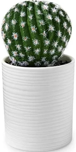 SEEKO Fake Cactus For Home Décor 11" - Artificial Faux Cactus For Southwest, Office, Desk, Shelf - Indoor Fake Plants - White Décor Accents - Modern Farmhouse Decor  -Nearly Natural Store 41qyhhkErEL. AC